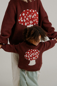 Lori Toadstool Knit Sweater