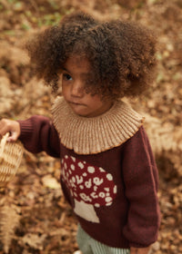 Bobbi Rust Knit Collar Bib