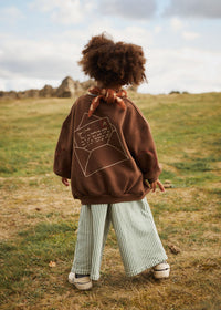 Carner Deer Claude Chocolate Sweater