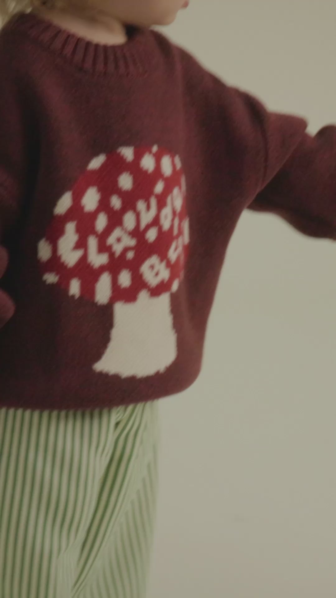Lori Toadstool Knit Sweater